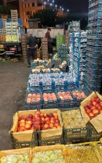 سفارش تره بار (انواع میوه جات)