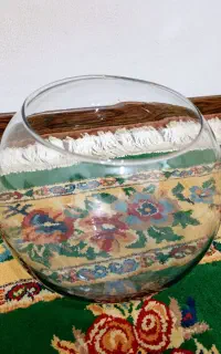 دوعدد تنگ ماهی