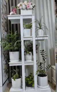 استند گل فروشی