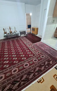فرش ۱۲ متری دستبافت