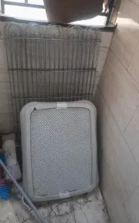 پارک سگ سایز بزرگ ارتفاع نود هشت ضلعی
