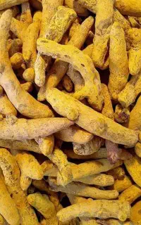 عطاری شریفان  ادویه، دمنوش وگیاهان دارویی