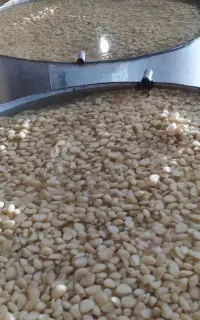 نیروی کارساده  آقا دونفر وخانم