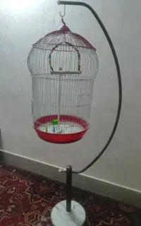 قفس با پایه