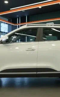 لاماری نئو
