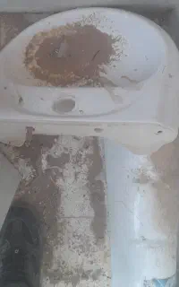 سنگ دسشور درحد نو