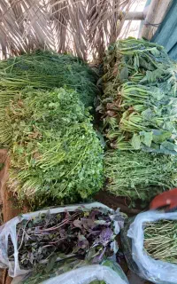 سبزی تازه و محلی، خورشتی و خوردنی