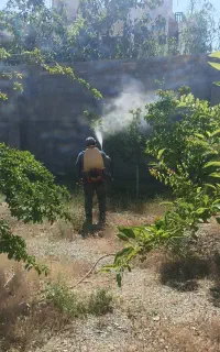 سمپاشی باغبانی سم‌پاشی گل درخت درمشهددرتمام مناطق