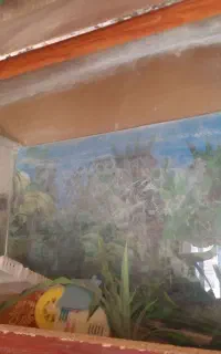 آکواریوم