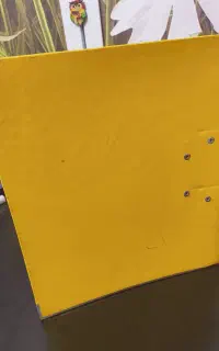 زون کن