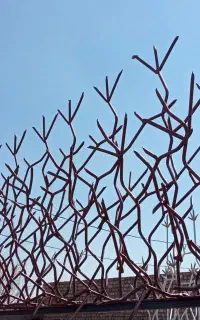 حفاظ گلبرگ و انواع نرده