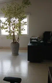 استخدام نگهبان