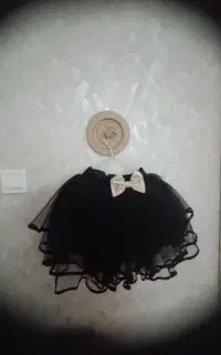 دامن مجلسی