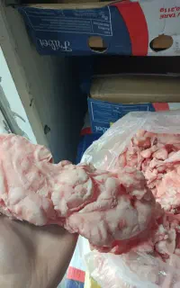 چربی گوساله ممتاز