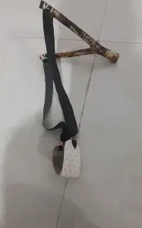 پلخ مون