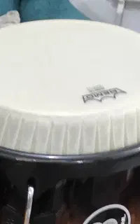 هد یا پوست رمو آمریکا