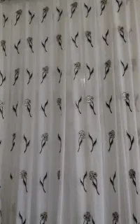 پرده