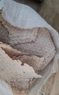 نان خشک
