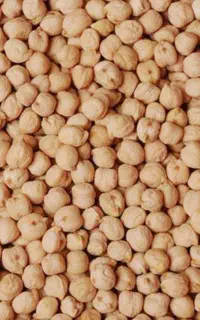 نخود آبگوشتی درشت بوجاری شده