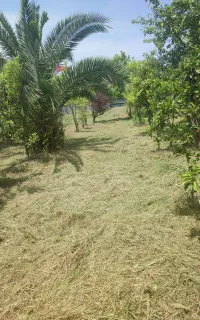علف زنی با دستگاه