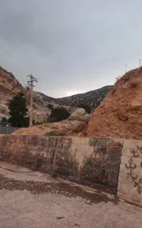 ذغال وهیزم محلی