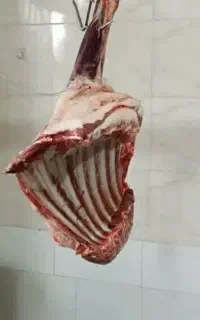 قصاب