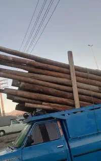 خرید چوب خشک بیت صنوبر شما را به قیمت روز خریدارم