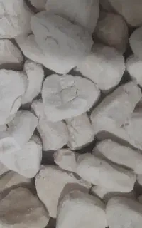 کشک محلی