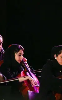 همکاری با مدل خانم، نوازندگان و پروژه موسیقی