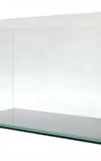 شیشه آکواریوم