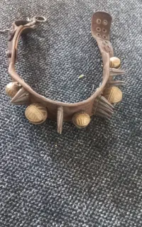 قلاده سگ