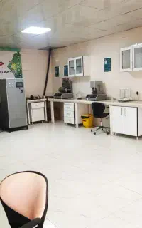 حسابدار خانم مجرد