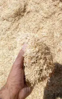 کاه