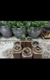 فرمولاسیون مخصوص جوانی زنان
