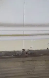 تعمیرات لوله کشی نصب ابگرمکن نصب شیرآلات