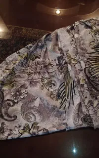 چادر مجلسی