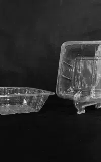 ظرف یکبار مصرف گوشت  (عمده)
