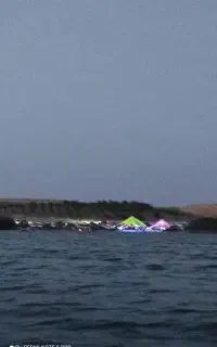 پدل برد در حد نو
