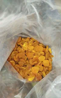 قیسی زردآلو