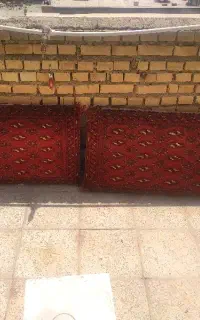 پشتی