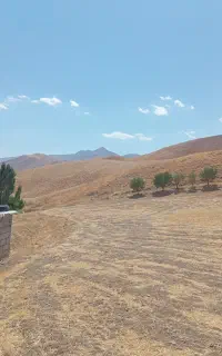 علف درجە یک دیم