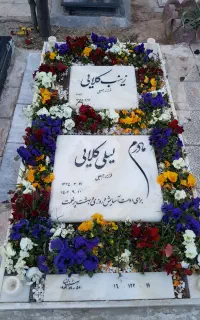 باغبانی بهشت زهرا کاشت درخت گل وگیاه رنگ آمیزی سنگ