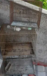 قفس پرنده