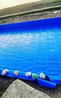 انواع ورق های استخری
