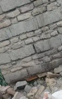 تخریب باپیکور
