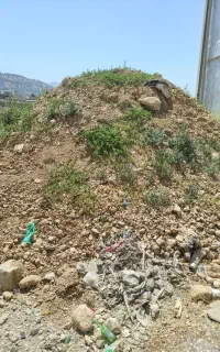 خاک خاکبرداری گل