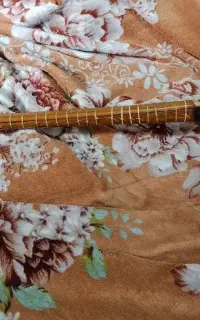 سه تار فروشی