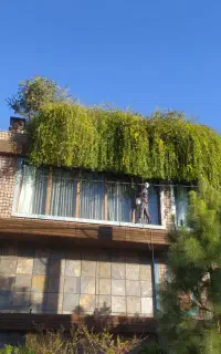کار در ارتفاع با طناب دراک ،تخصصی ،ایمنی