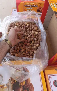 خرما زاهدی و پیارم
