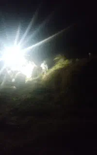کاه یونجه